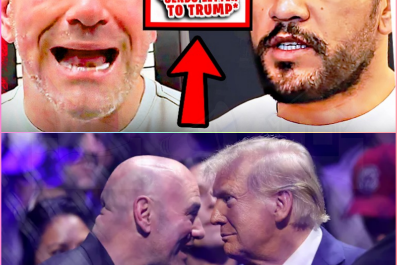 UFC’s Dana White asks Trump for help on gambling tax provision
