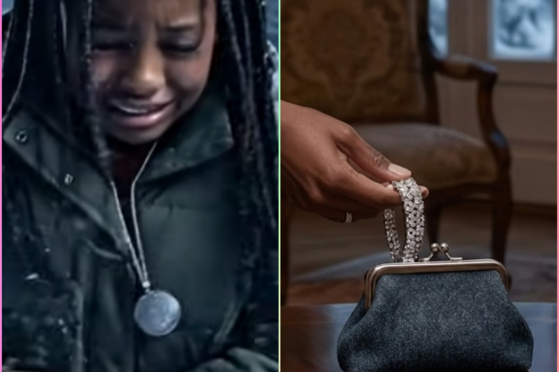 Her Stepmother Kicked Her Out in a Blizzard… Years Later the Truth Destroyed Everything.