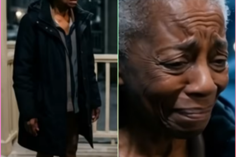 Betrayed by Her Children, She Hid in a Cave—Years Later, Her Discovery Moved an Entire Town to Tears
