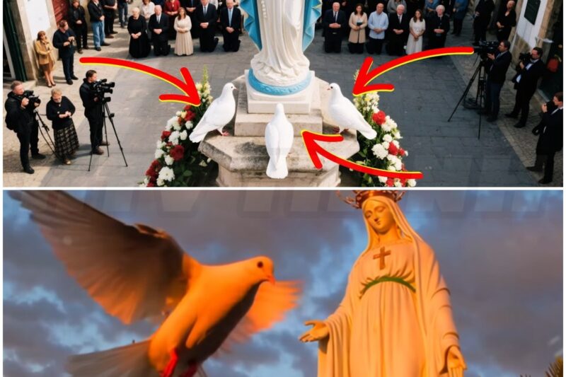 3 Doves at the Feet of Our Lady of Fatima and the miracle happened?