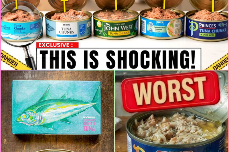 UK Canned Tuna Ranked: 8 Brands Tested — From Worst to Best