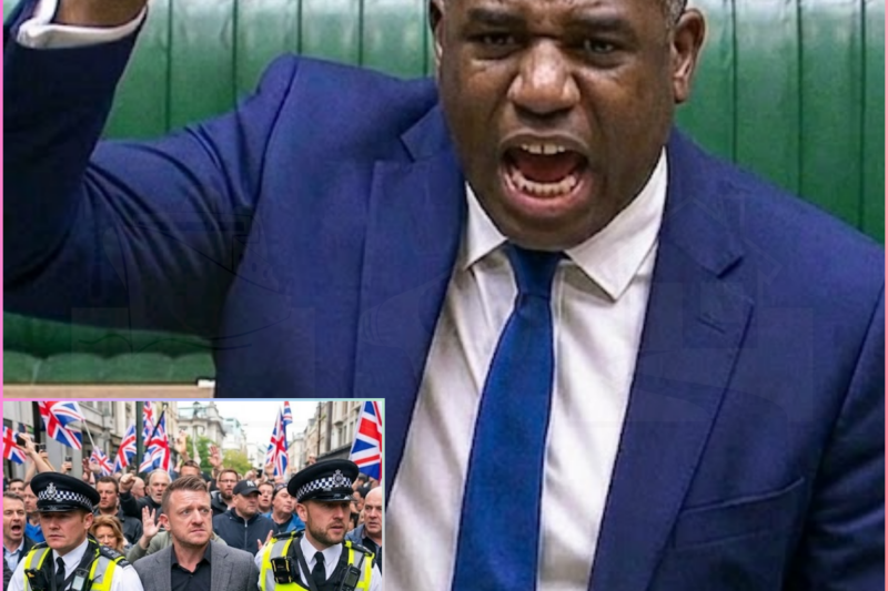 David Lammy STARTS Massive Arrests Against Tommy Robinson & UTK Protesters!