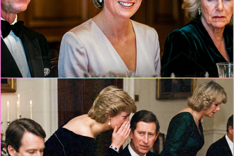 Diana Sat Between Charles and Camilla During Dinner — What Happened Next Was Unexpected