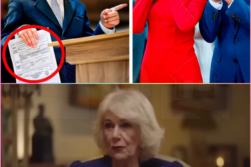 Fans in SHOCK as Prince Louis Makes a Jaw-Dropping Statement About Camilla