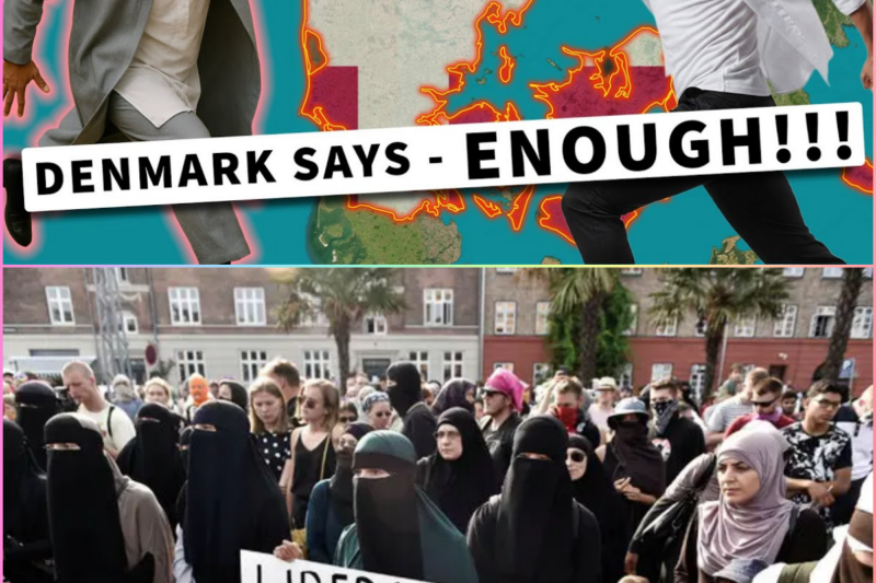 Denmark’s Firebreak: How One Small Nation Chose to Stop the Pattern That Broke Its Neighbors