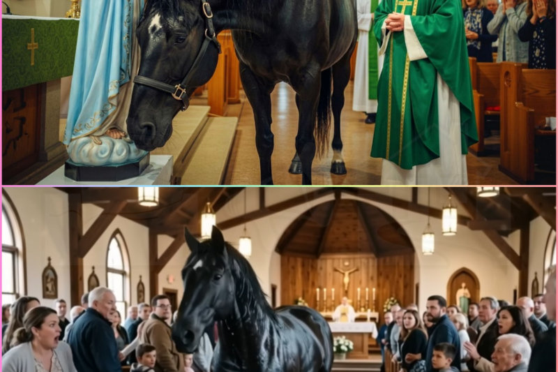 The horse entered the church… and when it stopped before the Virgin, nobody moved.
