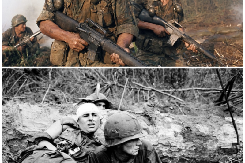The HORRORS of the ROK Marines in Vietnam – The Only Soldiers the VC Were Ordered to AVOID