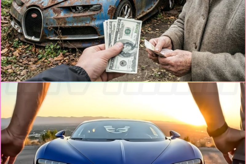 I Bought Bugatti Chiron for ONLY $500! Grandma Sold Me His Abandoned Supercar