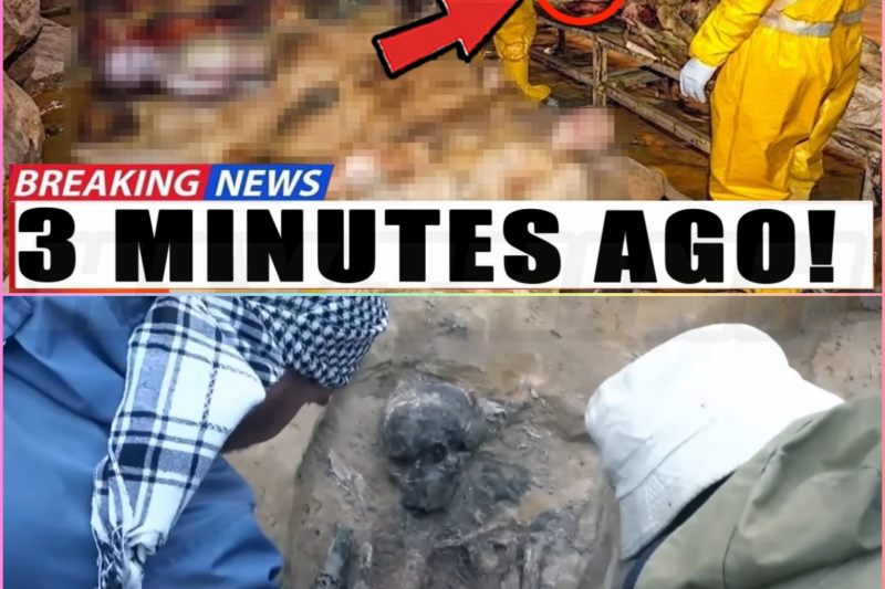 This Is Found In A Cave Beneath the Euphrates River… And It Matches What Jesus Warned About