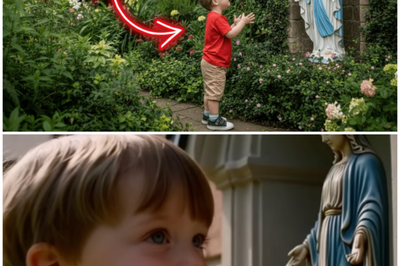 The Miracle in Denver — The Adopted Boy Who Spoke with the Virgin Mary in the Garden