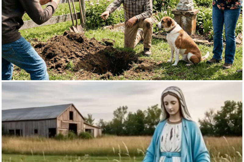 Dog Kept Digging at the Feet of the Virgin Mary… NOBODY Believed What They Saw