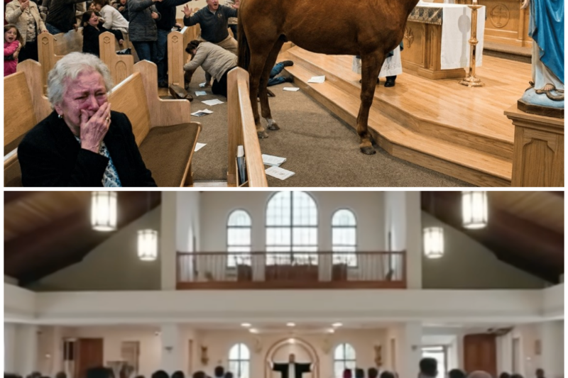 Untamable Horse Storms Into a Church and Stops Before the Virgin Mary – What Happened Moved Everyone