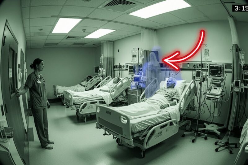 Virgin Mary in the ICU? Nurse Sees Woman Next to Patient… Cameras Show NO ONE There
