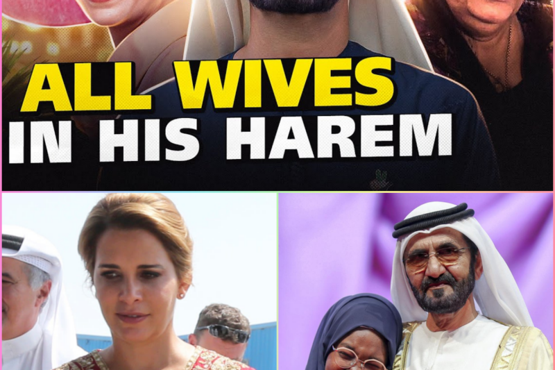 Sheikh Mohammed of Dubai: Power, Family, and the Controversies Behind a Modern Monarchy