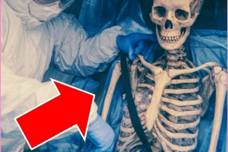 A Man Bought A Storage Unit For $500 — He Found His Missing Sister’s Car With Her Still Inside