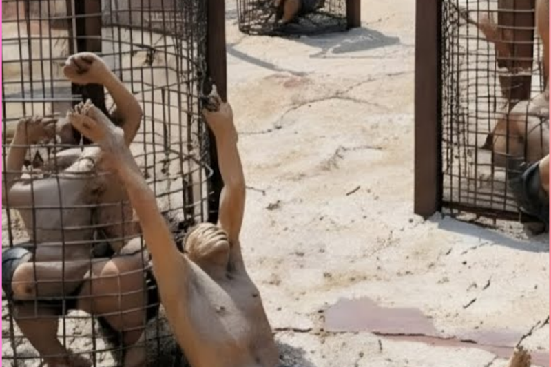Saudi Arabia Sent 25 Christians to WORLD’S STRICTEST JAIL for Reading BIBLE – Then Jesus Intervened