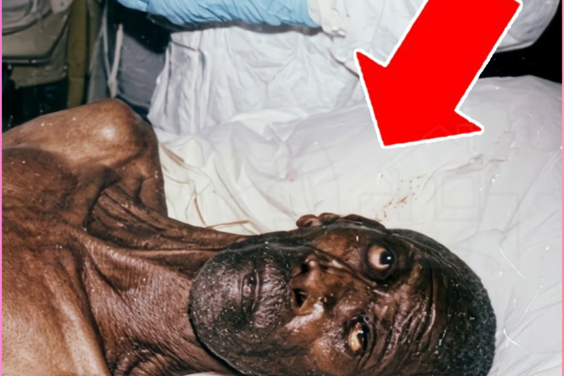 A Hospital Kept a “Sleeping Patient” for 30 Years — A New Nurse Realized It Was a Missing Doctor