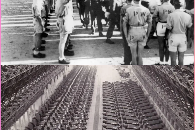 German POWs Were Shocked By America’s Industrial Might After Arriving In The United States