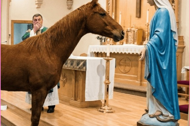 Untamable Horse Storms Into a Church and Stops Before the Virgin Mary – What Happened Moved Everyone