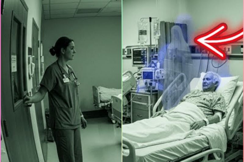 Virgin Mary in the ICU? Nurse Sees Woman Next to Patient… Cameras Show NO ONE There