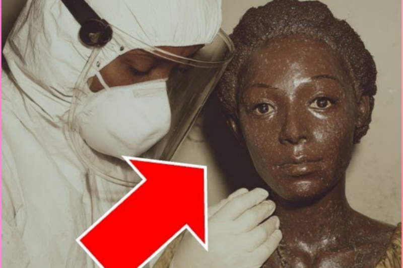 PART 2: A Modelling Agency Kept a “Mannequin” for 20 Years — A Janitor Discovered It Was a…