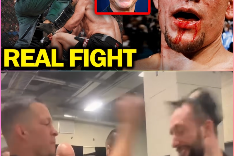 UFC Fighters Who Got Into Real Fights With Celebrities