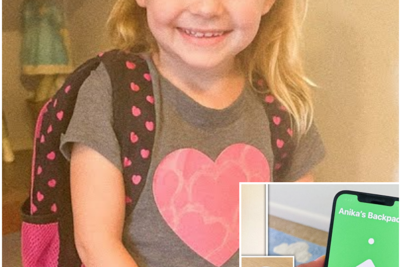 Girl Vanished at Kindergarten, 1 Year Later Mom Gets an Apple Tag Signal Under the Floor…