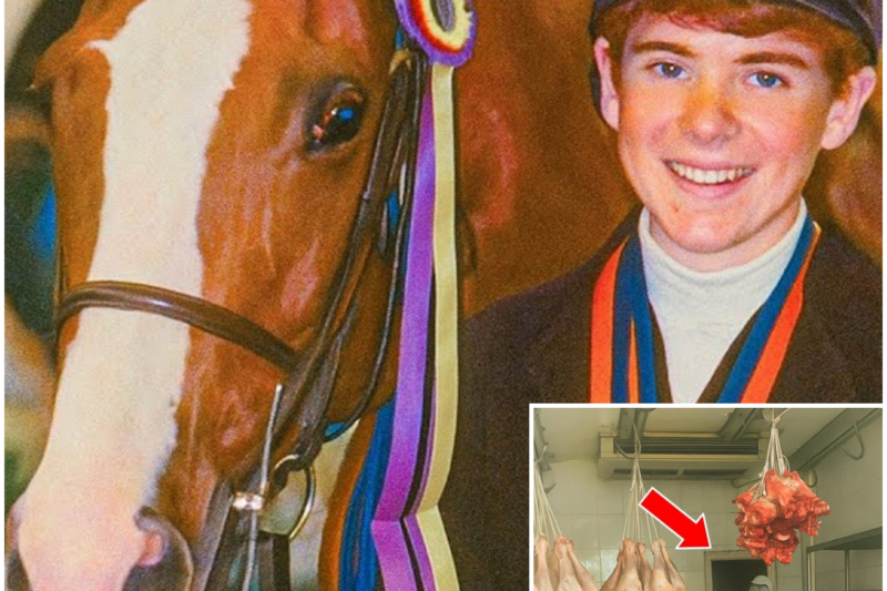 Jockey Vanished in 2001, 3 Years Later Health Inspectors Find a Hatch in a Slaughterhouse…