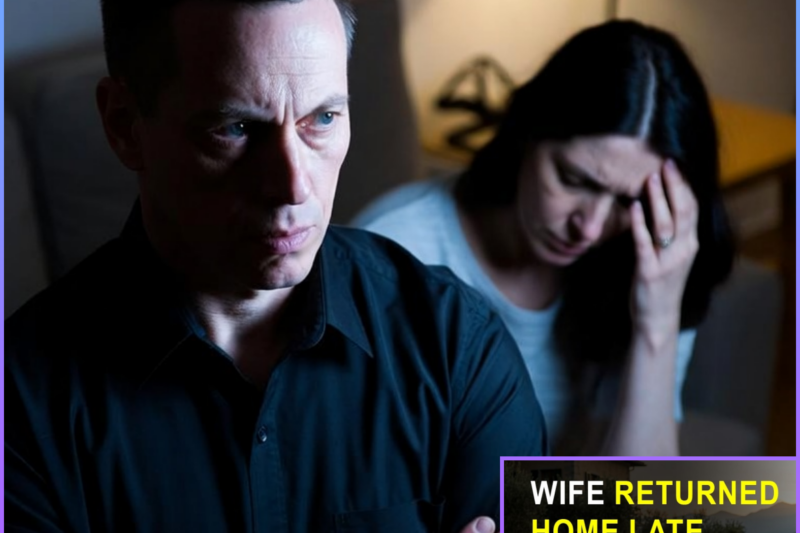 Wife Returned Home Late Again, So I Asked Her You Choose Him Or Me