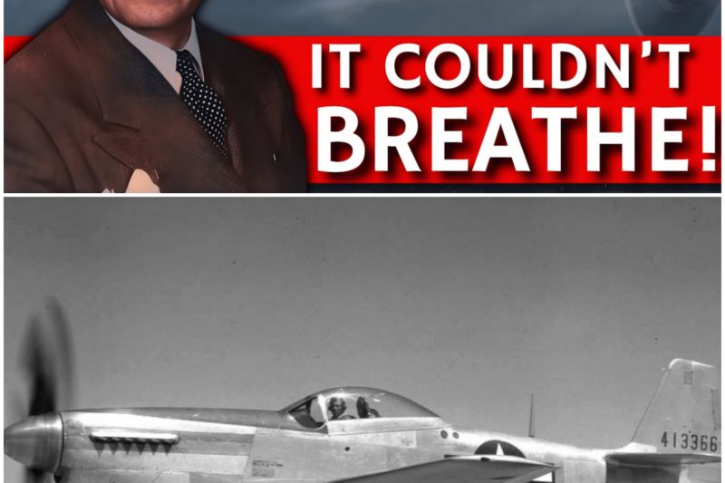 The Engineering “Mistake” That Made the P-51 Unstoppable!