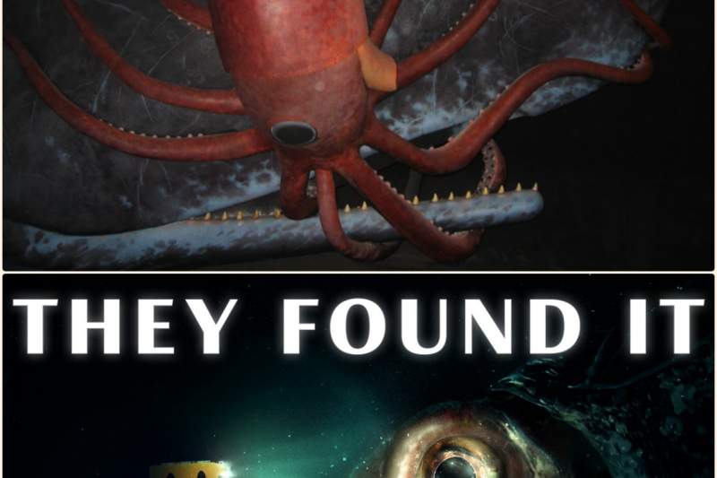 Scientists FINALLY Found a Colossal Squid Deep in the Ocean
