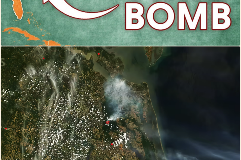 This Ancient Swamp Is Hiding a Carbon TIME BOMB