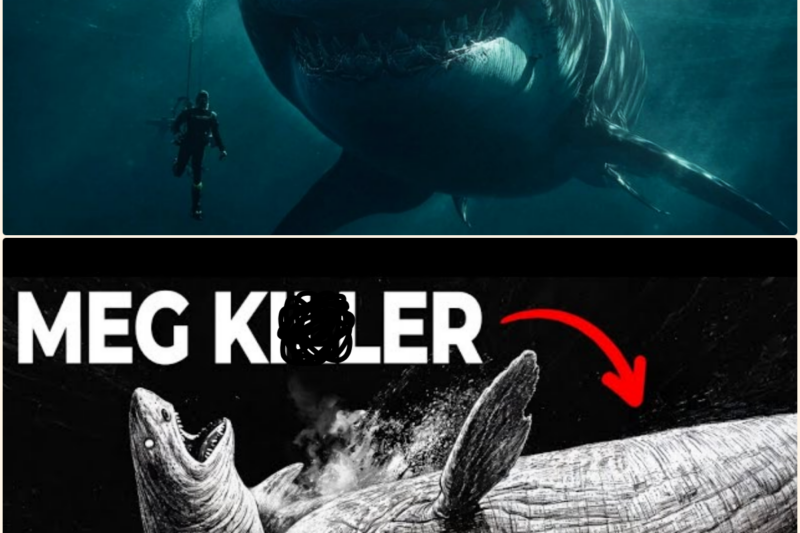 The Only Time In History When MEGALODONS Were PREY