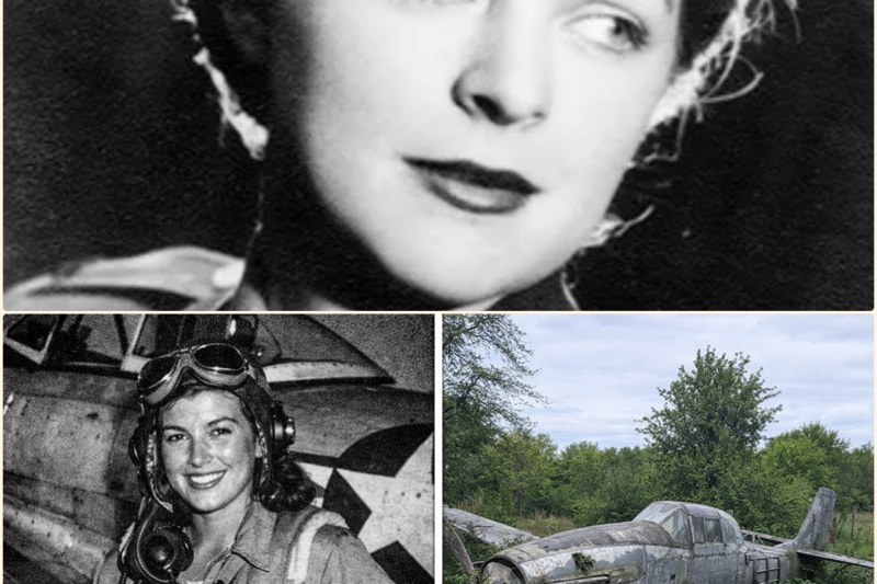 Fighter Pilot Vanished in 1944 — 70 Years Later, Her Plane Was Found Abandoned in a Forest…