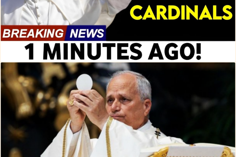 Pope Leo XIV Broke His Silence — What He Told the Cardinals Shocked the Vatican