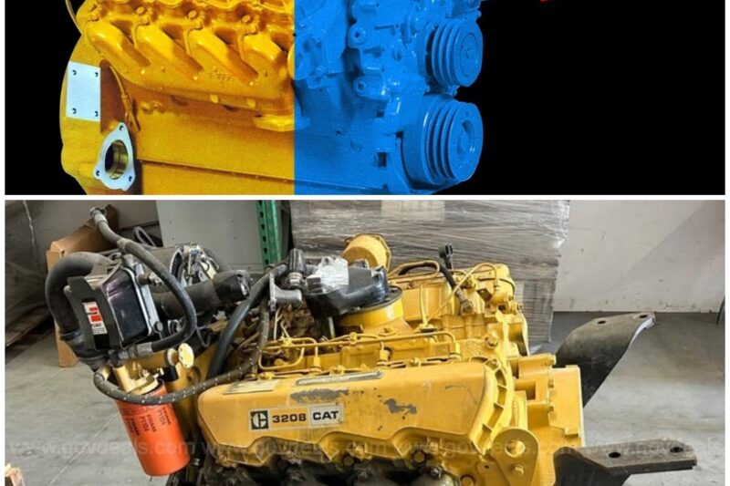 The DARK Truth About the CAT 3208: What They Kept Quiet