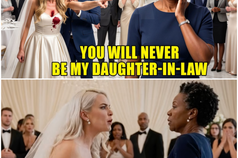Bride Slapped Groom’s Black Mother at the Wedding Reception — Seconds Later, 3 Rolls-Royces Arrived