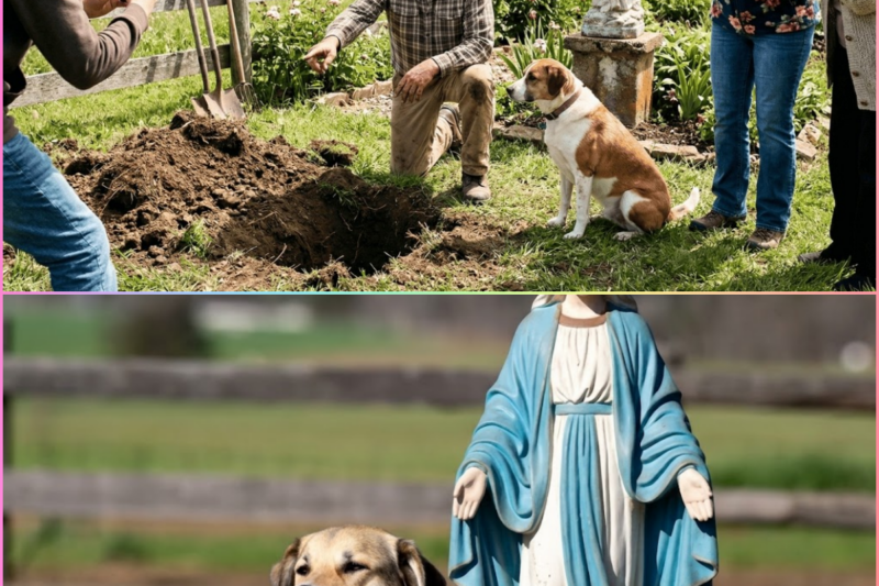 Dog Kept Digging at the Feet of the Virgin Mary… NOBODY Believed What They Saw