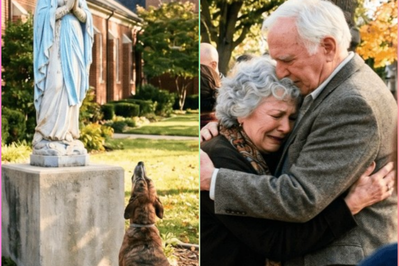 Dog Cried in Front of the Virgin Mary Statue for 5 Days – The Reason SHOCKED the Entire Neighborhood
