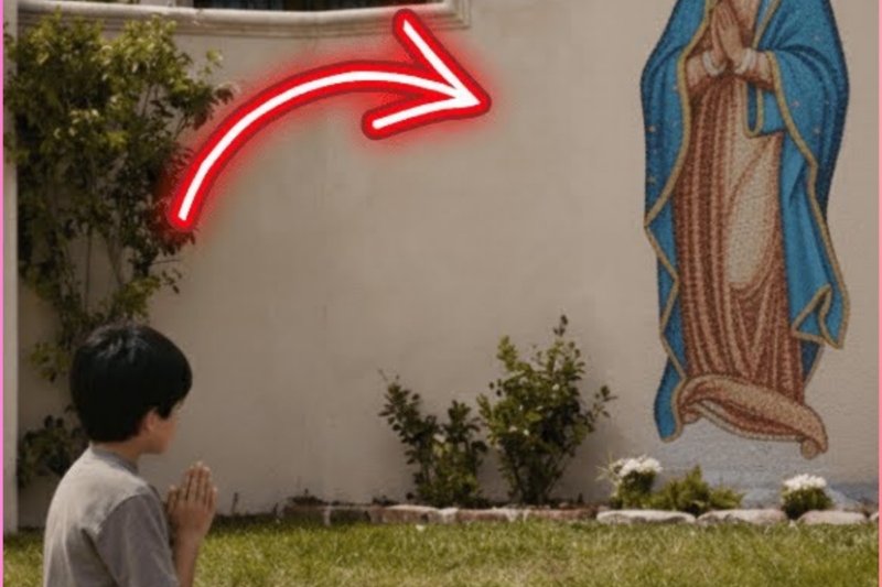 Boy Prayed to the Virgin Mary Every Day… The Reason Shocked