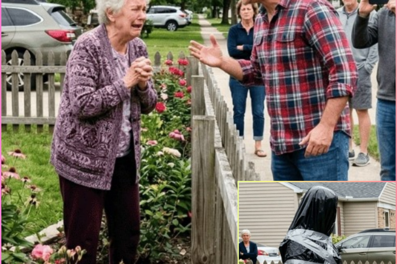 Neighbor Covered the Virgin Mary with a Trash Bag… What the Neighbors Did SHOCKED Everyone