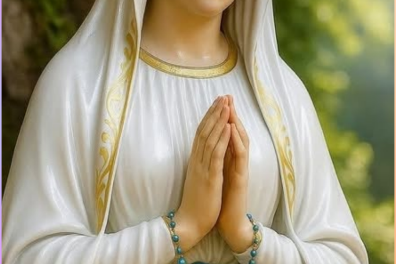 Virgin Mary At The Airport? Pilot Sees Woman On The Runway… Tower Says There Is NO ONE There