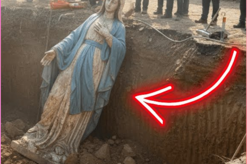 Excavator Unearths Virgin Mary Statue at Construction Site… What Happened SHOCKED Everyone