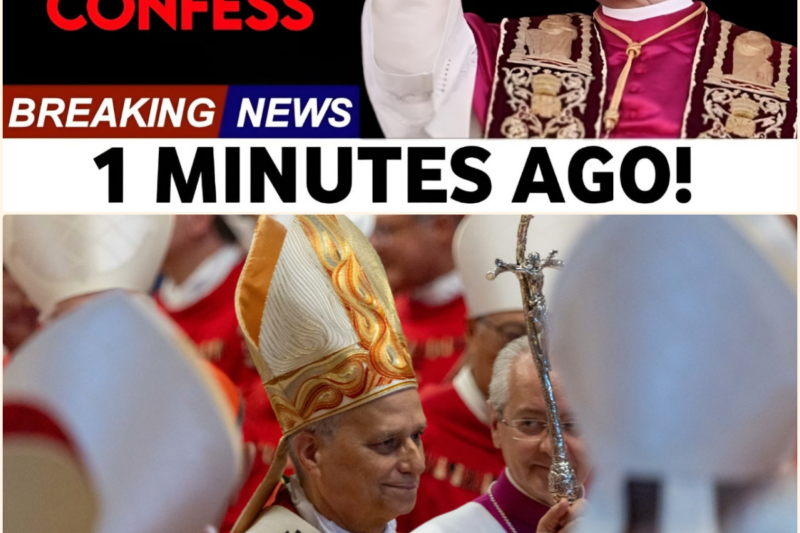 Pope Leo XIV Finally Revealed His Biggest Secret to the Cardinals — Rome Went Silent