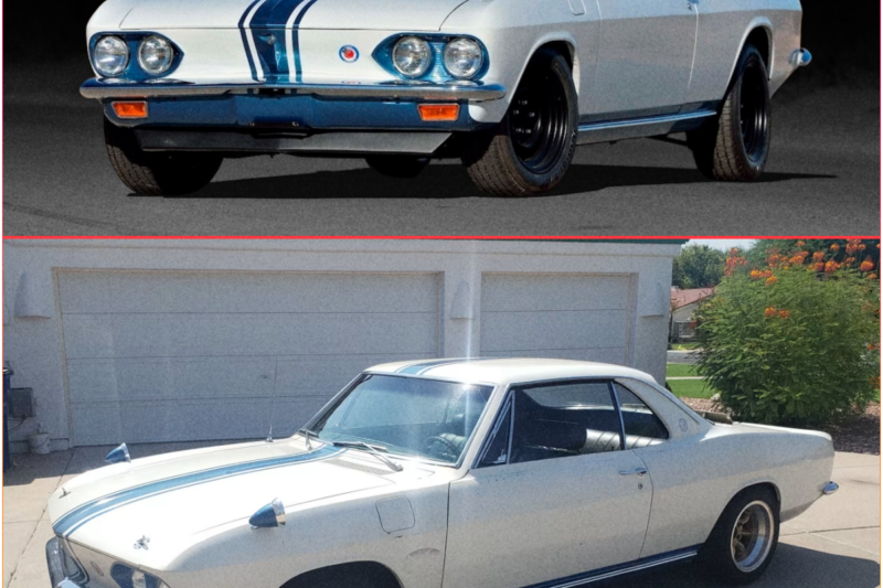 BUILT TO DESTROY SHELBY 1966 Chevrolet Corvair Yenko Stinger
