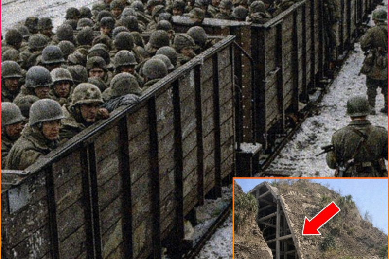 Thousands of U.S. Military Troops Vanished in WWII – 50 Years Later, a Shocking Truth Was Discovered