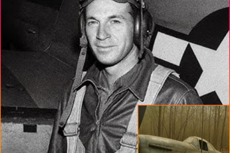 Fighter Pilot Vanished in 1943 – 60 Years Later, His Rusted Plane Was Found in a Forest…