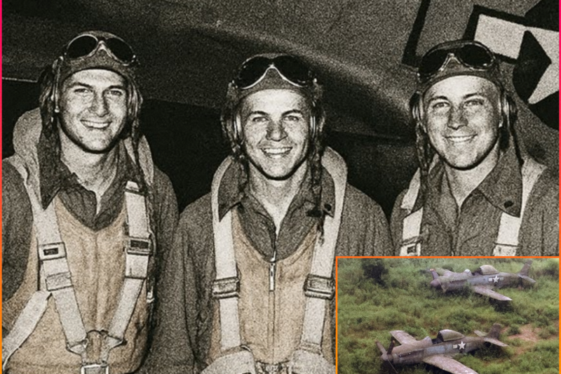 3 Fighter Pilots Vanished In 1944 – 75 Years Later, Their Planes Were Found Almost Intact…