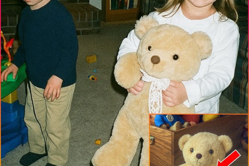 Girl Vanished From Her Living Room in 1998 – 16 Years Later Her Brother Cuts Open Her Teddy Bear…