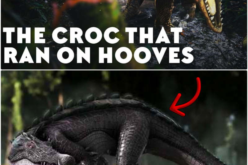 The Croc That Ran on HOOVES